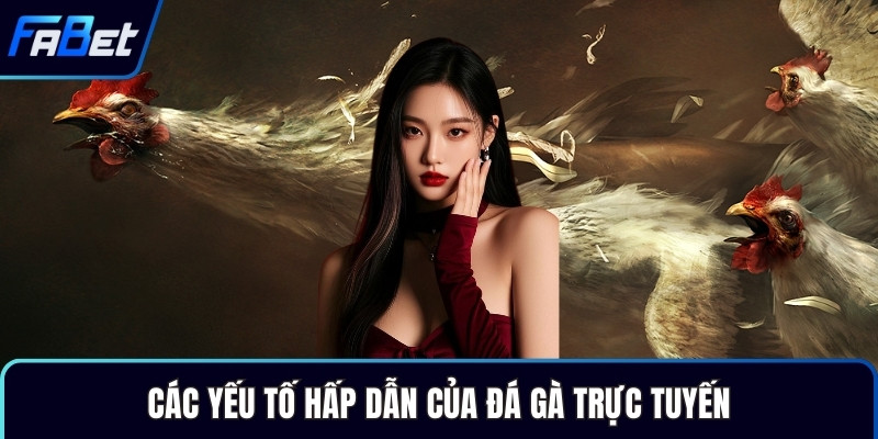 Các yếu tố hấp dẫn của đá gà trực tuyến
