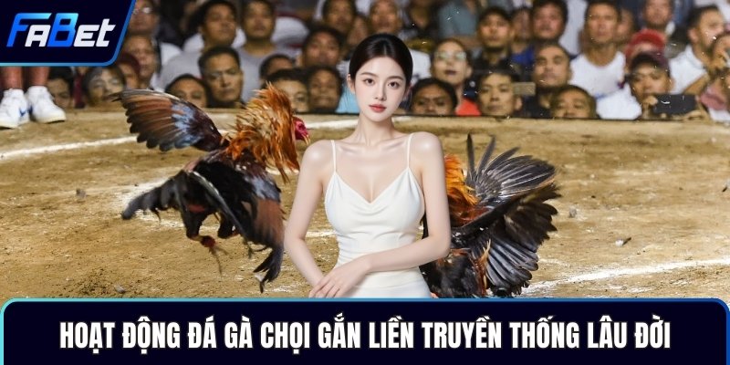 Hoạt động đá gà chọi gắn liền truyền thống lâu đời