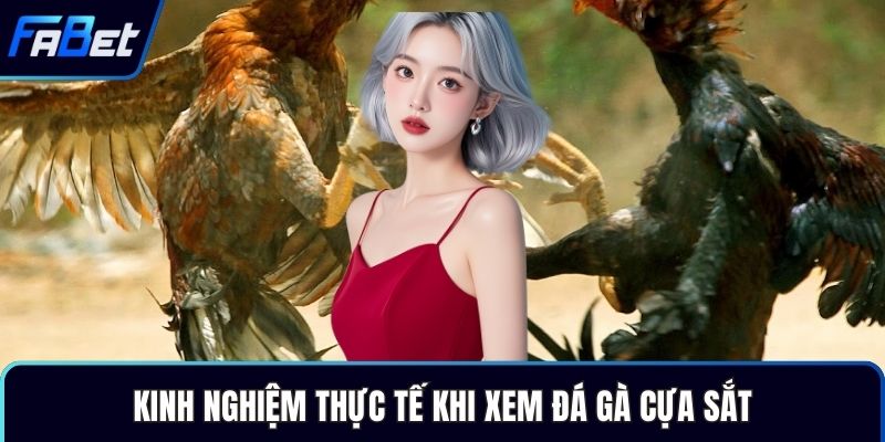 Kinh nghiệm thực tế khi xem đá gà cựa sắt